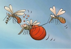 ポストカード イラスト フィンランドの蚊シリーズ「そんなに食べ過ぎるなよ！」