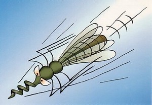 ポストカード イラスト フィンランドの蚊シリーズ「急降下だぁー」
