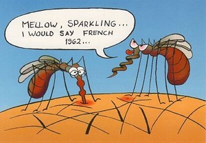 ポストカード イラスト フィンランドの蚊シリーズ「この芳醇なスパークはフランスの1962年ものだね！」
