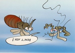 ポストカード イラスト フィンランドの蚊シリーズ「何もきかないで！」
