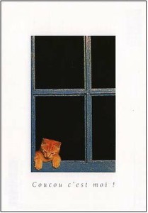 ポストカード カラー写真 窓辺の子猫