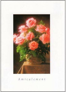 ポストカード カラー写真 ピンクの花
