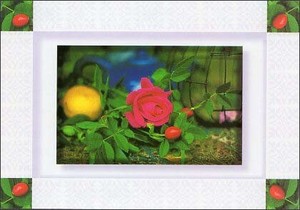 ポストカード カラー写真 赤いバラ
