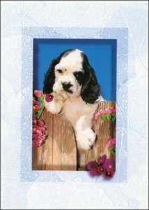 ポストカード カラー写真 子犬と紫の花