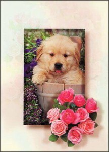 ポストカード カラー写真 舌を出した子犬と草花