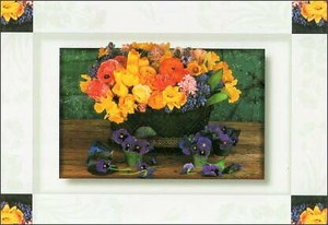 ポストカード カラー写真 黄色と紫の花