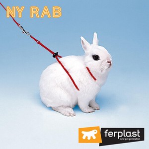 Rabbit Pet Item Set