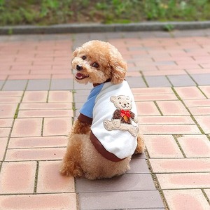 犬服 くま Tシャツ S M L XL 小型犬 中型犬 秋 冬フリース 軽量 保温 トレーナー