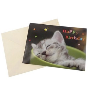 Greeting Card Cat