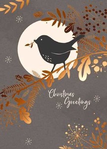グリーティングカード クリスマス「月とコマドリ」メッセージカードコマドリ 小鳥