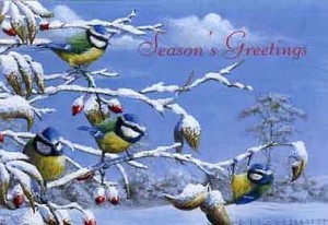 ミニグリーティングカード クリスマス「冬の青い鳥たち」メッセージカード