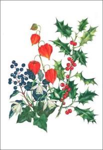 グリーティングカード クリスマス「ヒイラギ/ツタ/スノードロップ/シマホオズキ」メッセージカード