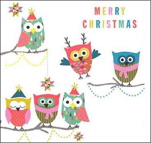 Greeting Card Mini Christmas Owls Message Card