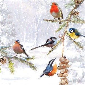グリーティングカード クリスマス「5匹の鳥たち」メッセージカード