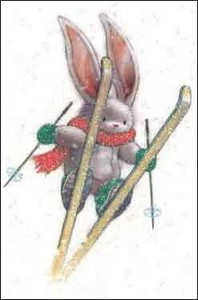ミニカード クリスマス「うさぎちゃんとスキー」メッセージカード