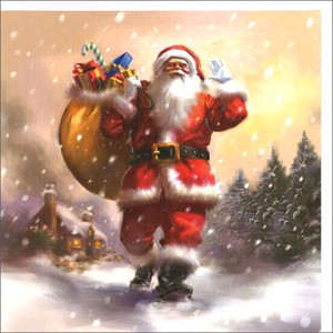 グリーティングカード クリスマス「手を振るサンタクロース」メッセージカード