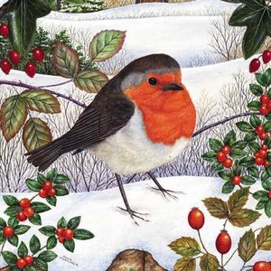 グリーティングカード クリスマス「一匹のコマドリ」メッセージカード小鳥