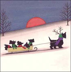 グリーティングカード クリスマス「そりに乗ったスコティッシュ テリア」メッセージカード