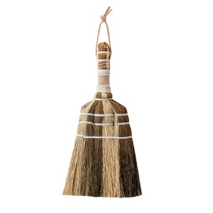 Broom/Dustpan