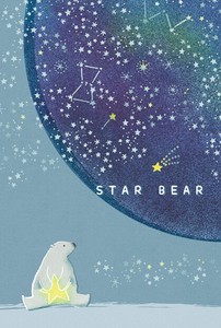 Postcard Polar Bear Starry Sky