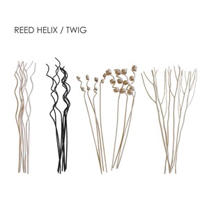 Diffuser reed reed