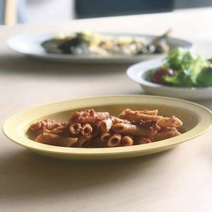 Mino ware Main Plate Mimosa Miyama Western Tableware 24cm Made in Japan