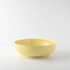 Mino ware Donburi Bowl Mimosa Miyama Western Tableware 19.5cm Made in Japan