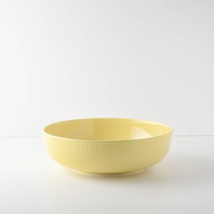 Mino ware Donburi Bowl Mimosa Miyama 19.5cm Made in Japan