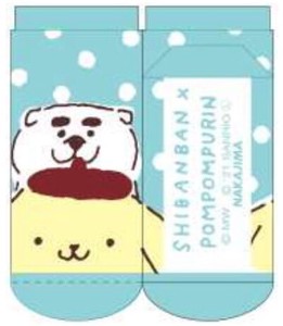 "Shibanban" Shibainu "POM POM PURIN" Socks Sanrio