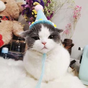 CT169#ペットの犬猫の誕生日の帽子ZJEA1455