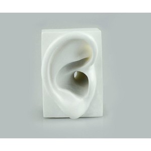 耳模型 イヤホン販売等にご利用頂けます 合成樹脂製 透明 両耳セット I-EM-W01