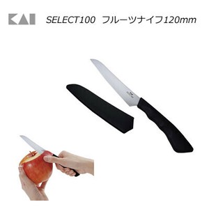 Fruit Knife 20mm 100 KAIJIRUSHI 3014