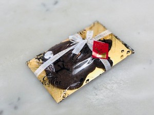 チョコチップチョコレートクッキー（FISH M)