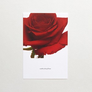 Scope Card Postcard Flower