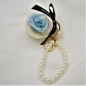 Flower Preservation Rose Pearl Charm Chain