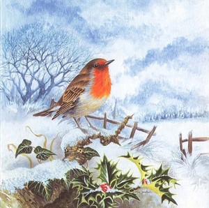 グリーティングカード クリスマス「コマドリとヒイラギ」 メッセージカード 小鳥