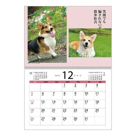 キャンペーン開催中 大人気 コーギー犬川柳 壁掛けカレンダー22年の商品ページ 卸 仕入れサイト スーパーデリバリー 送料無料クザクラ 生活雑貨 ステーショナリー クラフト Grupocasva Com