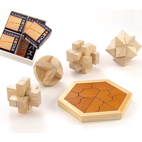 大人のための木製パズル5点セット 生活雑貨 玩具・ホビー ゲーム・パズル