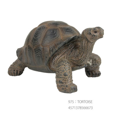 Popular Real Animal Piggy Bank Pet Bank Animal Interior Real Animals Import Japanese Products At Wholesale Prices Super Delivery