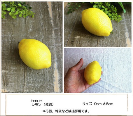 Lemon Lemon Import Japanese Products At Wholesale Prices Super Delivery Lemon Lemon Import Japanese Products At Wholesale Prices Super Delivery