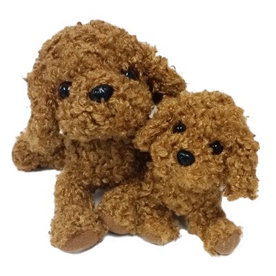 super red toy poodle