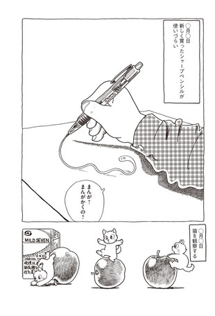 カオスノートの商品ページ 卸 仕入れサイト スーパーデリバリー