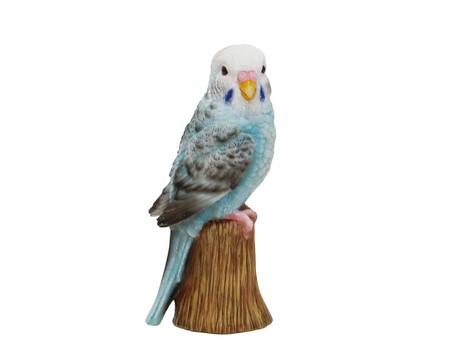 ソリッドオブジェ セキセイインコ 可愛い小鳥のオブジェ の商品ページ 卸 仕入れサイト スーパーデリバリー