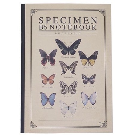 Section Notebook Insect Series Import Japanese Products At Wholesale Prices Super Delivery