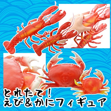 とれたて新鮮 エビ カニ フィギュア えびかにの商品ページ 卸 仕入れサイト スーパーデリバリー とれたて新鮮 エビ カニ フィギュア えびかにの商品ページ 卸 仕入れサイト スーパーデリバリー