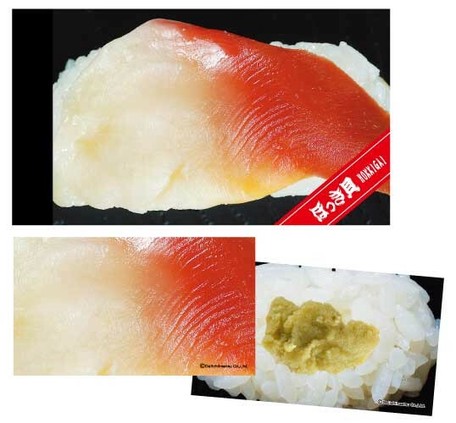 寿司メモ帳 ほっき貝 日本製 の商品ページ 卸 仕入れサイト スーパーデリバリー