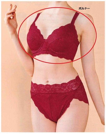 処分品 New肩甲骨美姿勢ブラ カタログ人気商品 の商品ページ 卸 仕入れサイト スーパーデリバリー 処分品 New肩甲骨美姿勢ブラ カタログ人気商品 の商品ページ 卸 仕入れサイト スーパーデリバリー