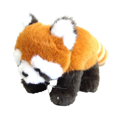 rose panda bear