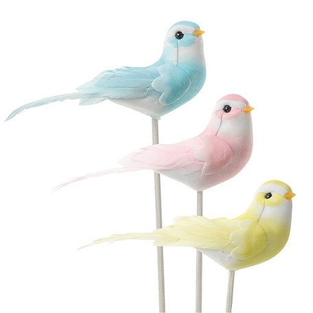 bird products online