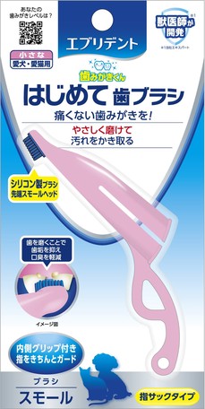 small cat toothbrush